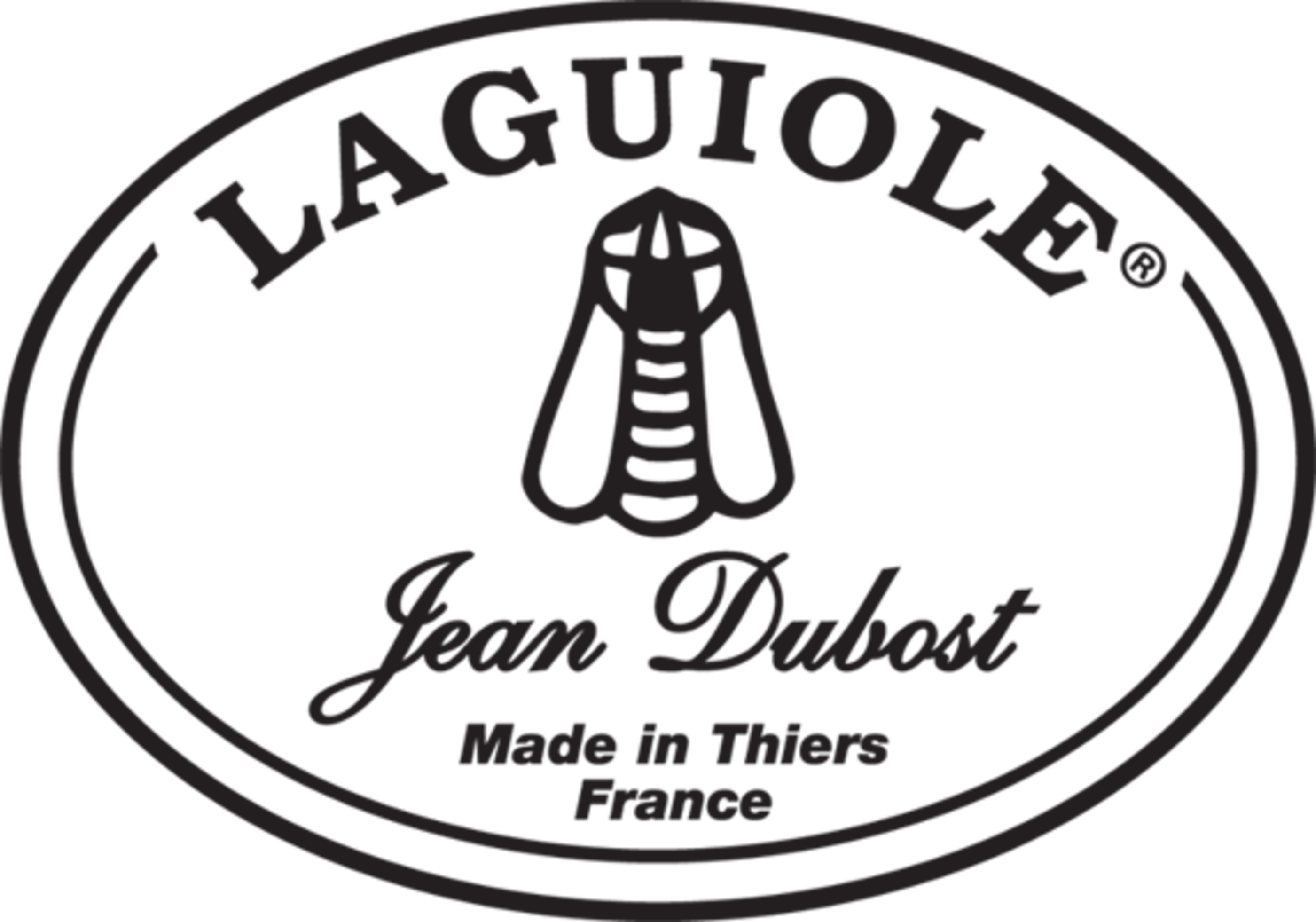 Couteau Laguiole® Jean Dubost, gamme New Age - Manalogue Darty Cuisine