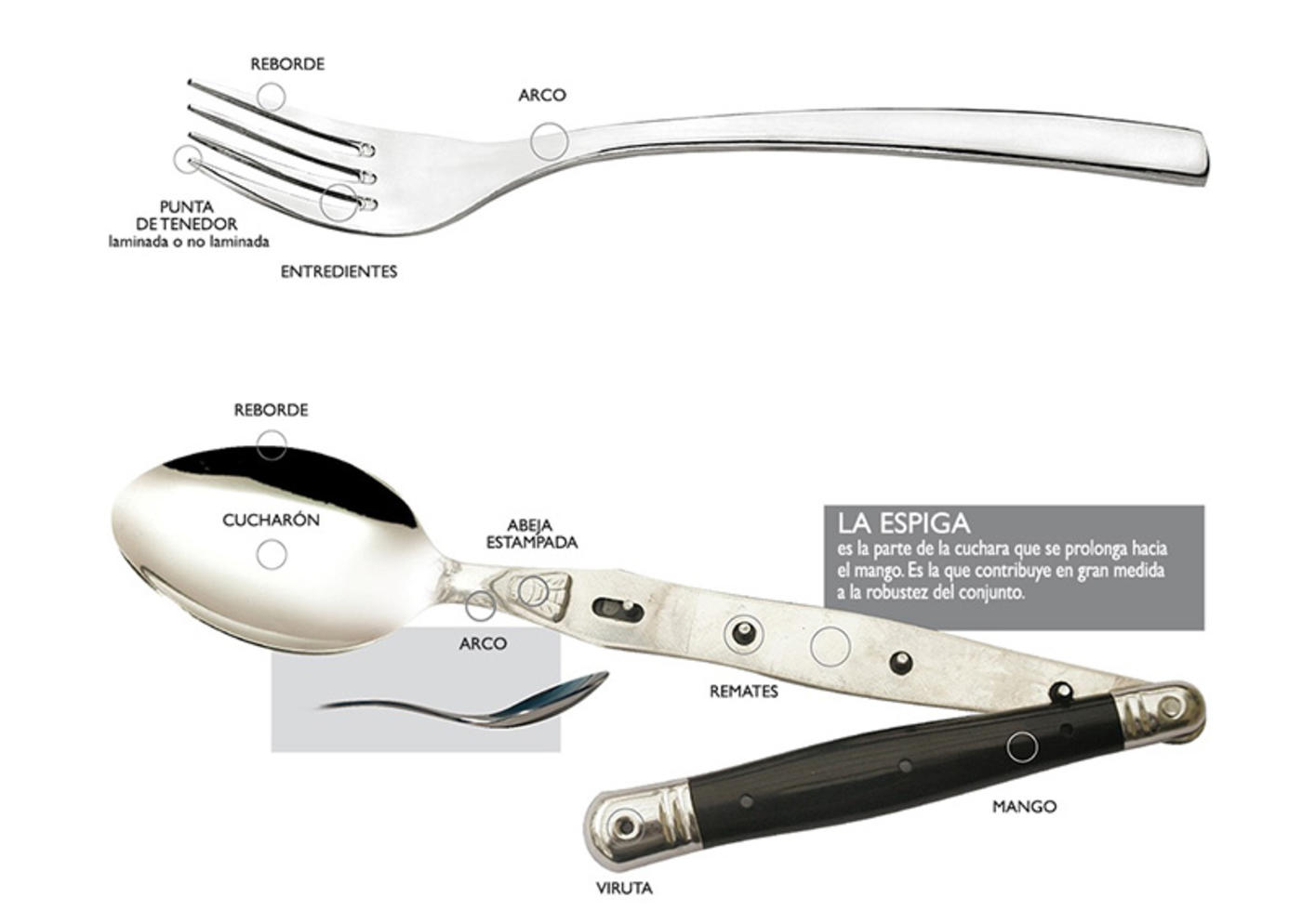 Anatomie_couvert_de_table_Jean_Dubost_ES_slider